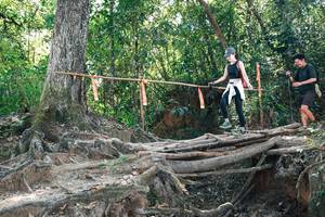 BIB: 
                            <button type="button" onclick="openModal(27745280)" class="btn btn-primary btn-sm float-right btn-popup" data-toggle="modal" data-target=".modal-high-quality">
                        <i class="fas fa-shopping-cart"></i> Add to Cart
                    </button>
                                            <button type="button" onclick="isThisMe(27745280, true)" class="btn btn-success btn-sm float-right btn-popup btn-isme hidden" data-toggle="tooltip" data-placement="bottom" title="นี่คือรูปของคุณใช่ไหม คลิกที่นี่เพื่อเอาเข้าอัลบั้ม">
                        <i class="fas fa-plus"></i> Add to album
                    </button>
                    <button type="button" onclick="isThisMe(27745280, false)" class="btn btn-warning btn-sm float-right btn-popup btn-isnotme hidden">
                        <i class="fas fa-ban"></i> Remove from album
                    </button>